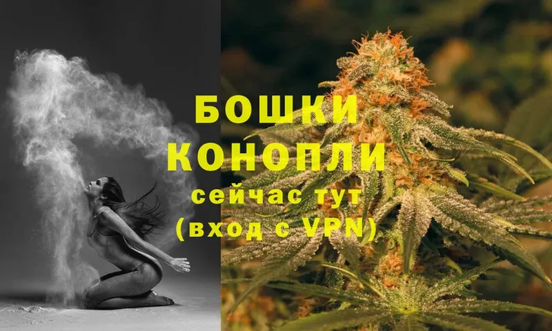 Бошки марихуана White Widow  купить наркоту  Белёв 